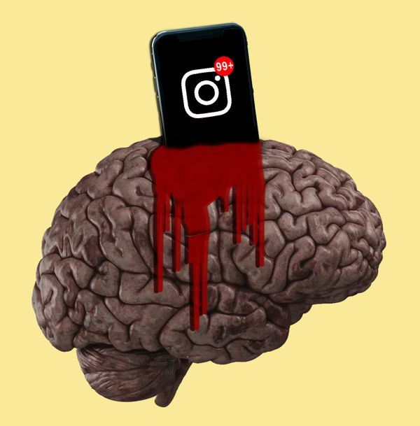 Meta-maxxing